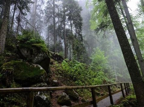 10 Best Hiking Trails In Germany: TripHobo