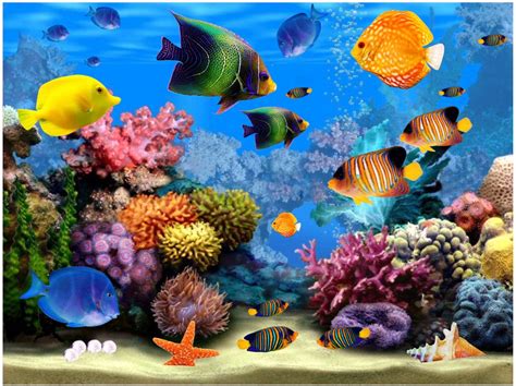 Tropical Fish WINDOW CLING Aquarium Discus Sealife Size 10.6 Sparkles Like Glass - Etsy