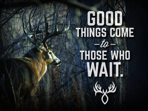 Good Luck Deer Hunting Quotes. QuotesGram