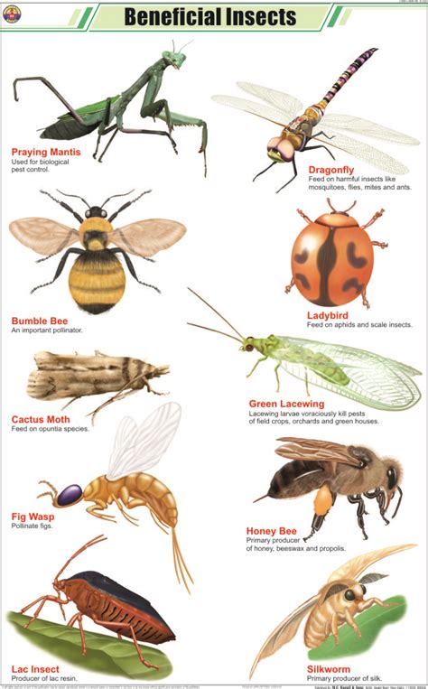 BENEFICIAL INSECTS - Hospital Equipment Manufacturing Company