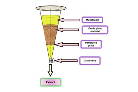 congeladas Recitar Coronel maceration extraction process pneumonia Enriquecimento Confiável