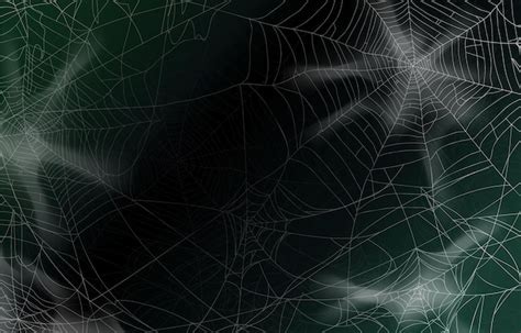 Premium Vector | Spider web background