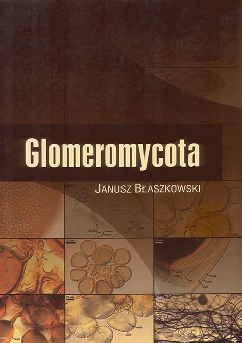 Glomeromycota-monograph / Glomeromycota-monograph-1.jpg