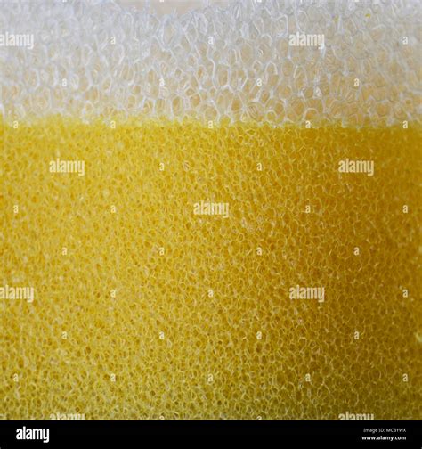 White and Yellow Sponge Texture Stock Photo - Alamy