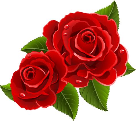 Download Beautiful Clipart Red Rose - Beautiful Red Rose Flowers PNG Image with No Background ...