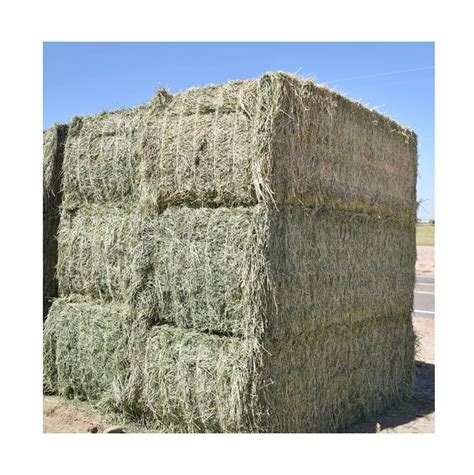 Alfalfa Hay Bales Pellets Animal Feed For Sale Corn Animal Feed Dcp And ...