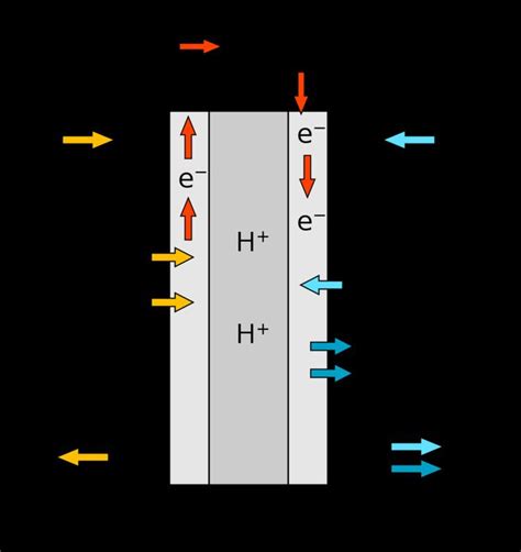 Proton exchange membrane fuel cell - Alchetron, the free social encyclopedia