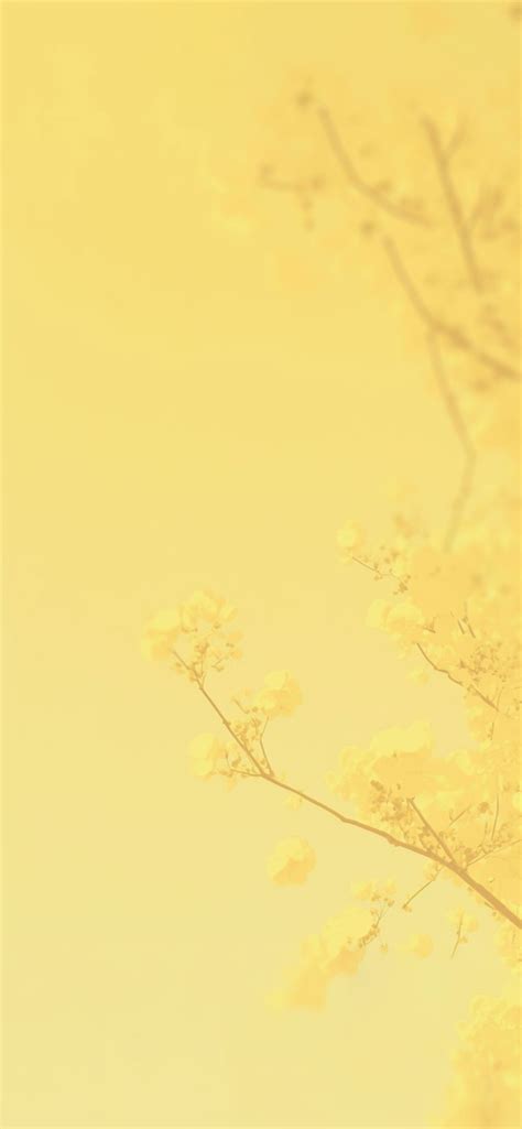 Yellow Background Wallpaper