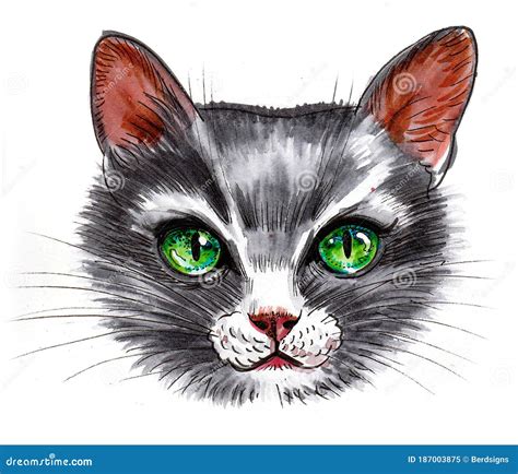 Cat with green eyes stock image. Image of green, drawing - 187003875