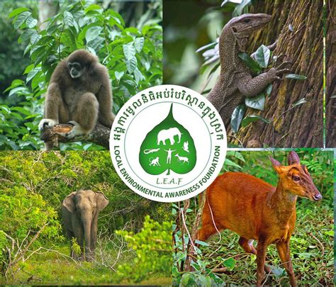 Mondulkiri Elephant & Wildlife Sanctuary