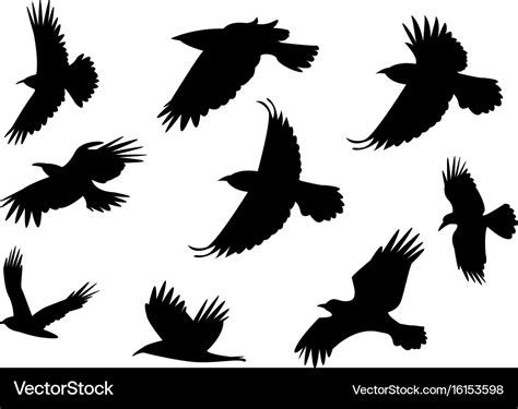 Set of silhouette flying raven bird with no leg Vector Image