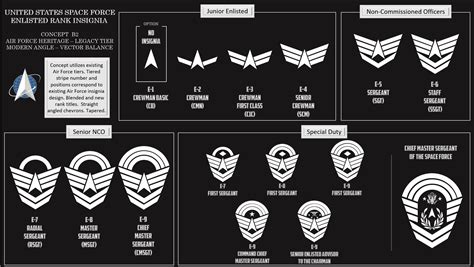 Space Force Enlisted Rank Insignia