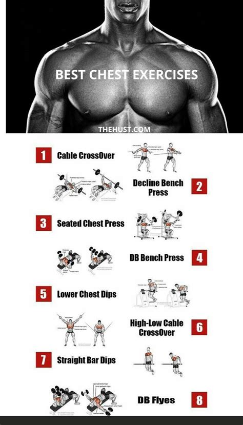 Ultimate Chest Workout: Build Muscle and Gain Absorptions