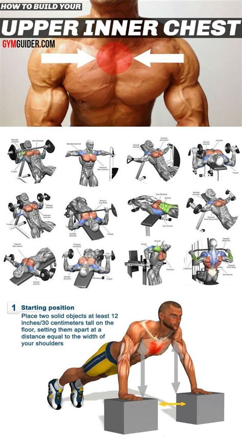 39 Best full chest workout for mass for Workout Routine | Fitness and Gym Equipment