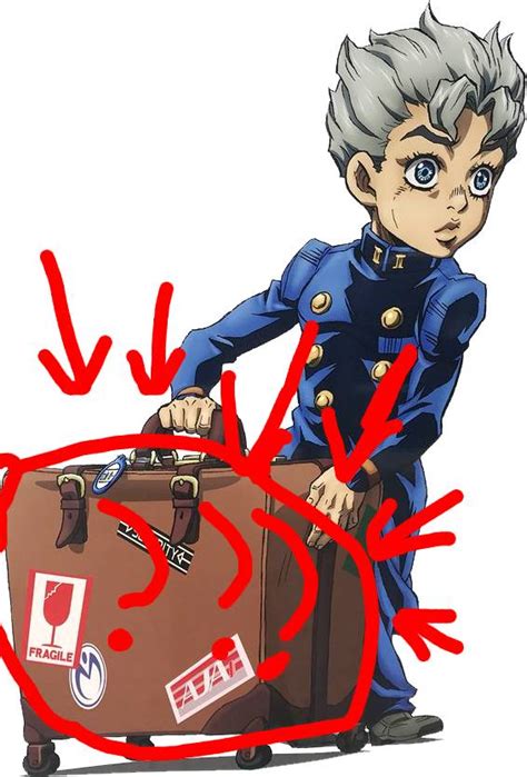 Koichi's Luggage | Koichi Pose Wiki | Fandom