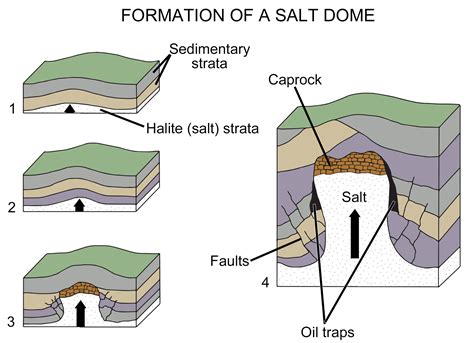 Energy in the Coastal Plain — Earth@Home