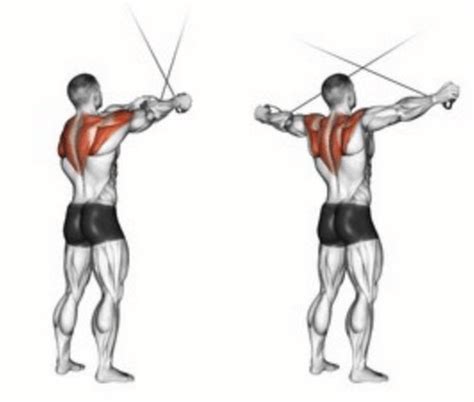 The Cable Rear Delt Fly | How To Maximize This Rear Delt Exercise! | Exercícios de musculação ...