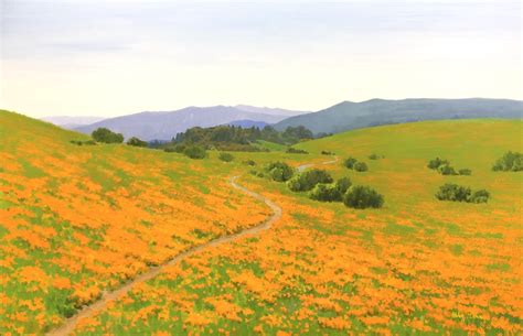 Poppy Field – Silicon Valley Open Studios