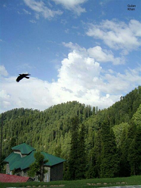 Pin by Fujin Khan on Beauty of South Asia | Hill station, Murree, Amazing nature