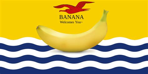 Banana, Kiribati, doesn't have a flag, so i made a custom one : r/vexillologycirclejerk