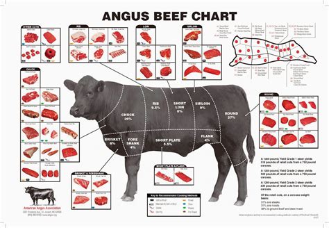 Diagram Of Cow Meat Cuts Of Beef