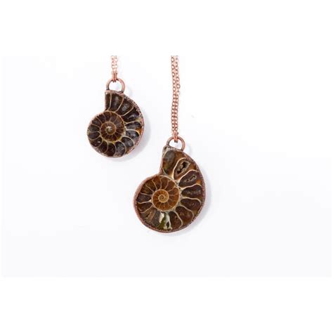 Ammonite fossil necklace | Fossil men's jewelry