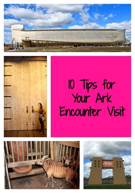 10 Travel Tips For Your Ark Encounter Visit - Tattling Tourist | Kentucky vacation, The ark ...