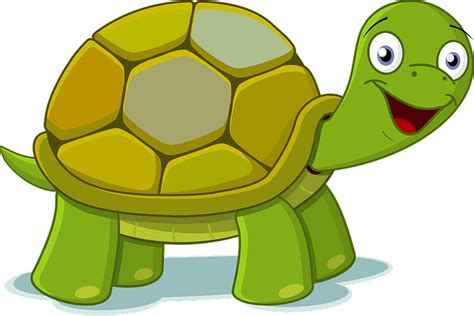 90+ Free Tortoise & Turtle Vectors - Pixabay