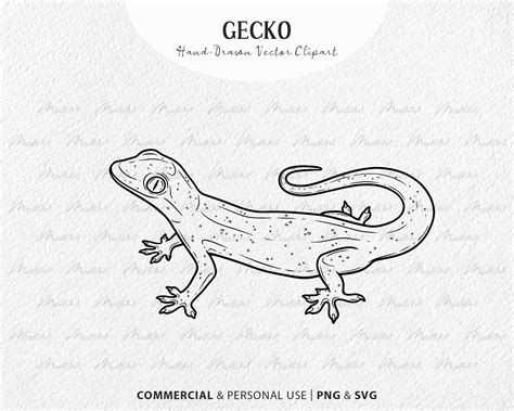 Gecko SVG Clipart. Lizard Vector Drawing. Leopard Gecko, Crested Gecko Line Art. Reptile Outline ...