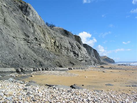 Charmouth (Dorset) | Discovering Fossils