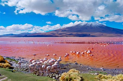 A Bolivia Salt Flats Tour in Uyuni: Everything You Need to Know - The ...