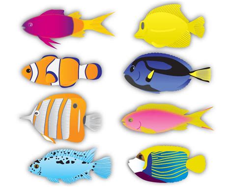 Tropical Fish Clip Art - Etsy