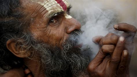 What is the state of cannabis production in India? — Quartz