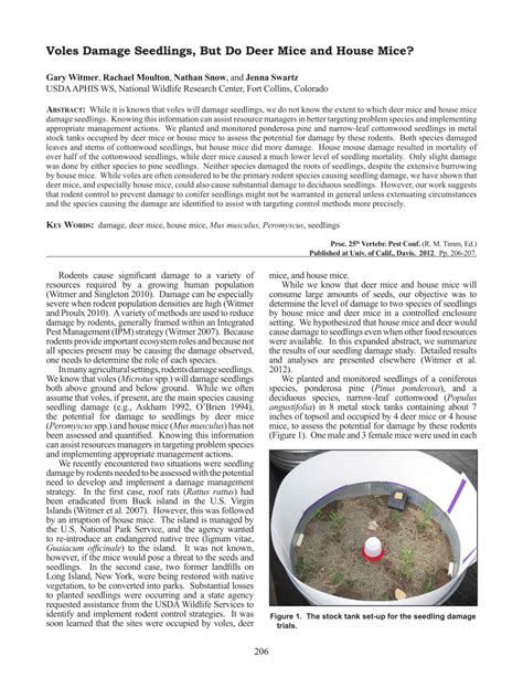 (PDF) Voles Damage Seedlings, But Do Deer Mice and House Mice?