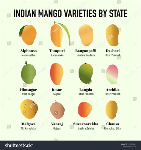 16,203 Mango varieties Images, Stock Photos & Vectors | Shutterstock