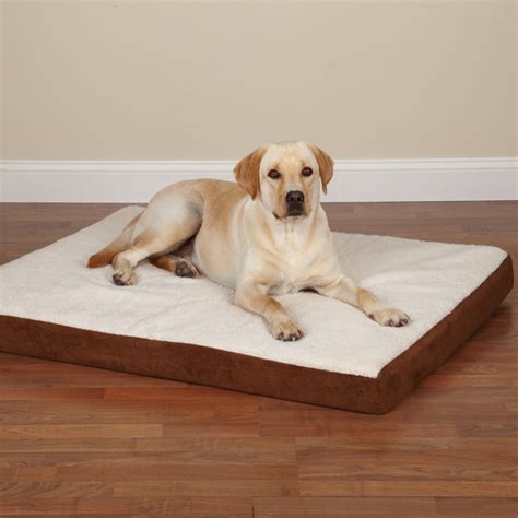 Are Memory Foam Dog Beds Really Worth It? – Small Dog HQ