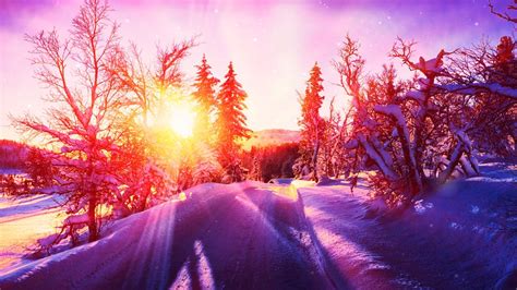 Winter, Trees, Snow. Free Stock Video - Pixabay