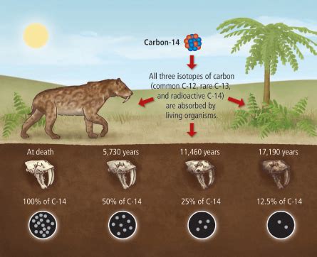 Learning Geology: Carbon dating