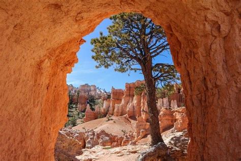 Colorado Plateau National Parks Photos - Travel. Experience. Live ...