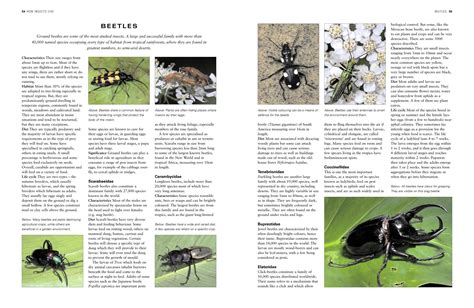 Illustrated encyclopedia template - TeX - LaTeX Stack Exchange