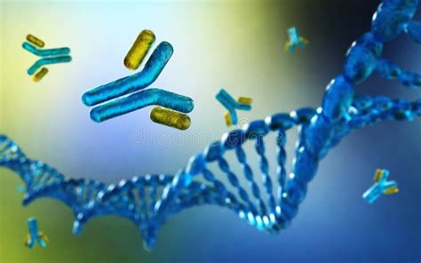 Antibodies, Immunoglobulins, the Immune Stock Illustration - Illustration of antibody, molecule ...