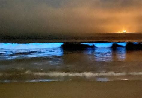 Bioluminescent Waves at California Beaches