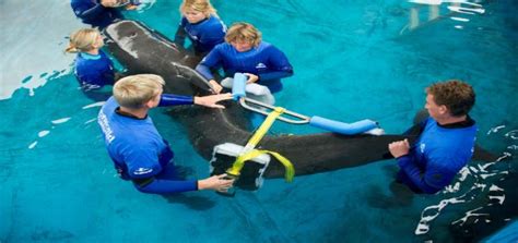 SeaWorld Parks and Entertainment Conservation