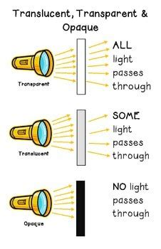 4.P.4A.5 Transparent, Translucent & Opaque - SOUTH CAROLINA GRADE 4 SCIENCE