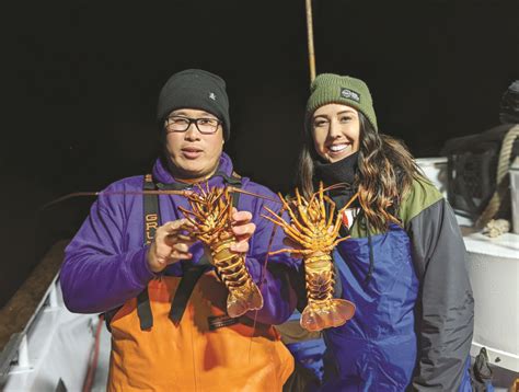 Lobster season – 5 steps to start lobster fishing for the first time (rules, equipment, tips etc ...