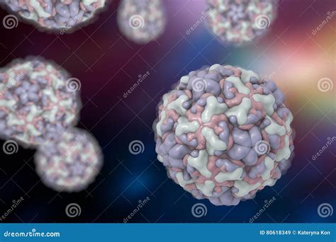 Rhinoviruses, Viruses of Common Cold Stock Image - Image of medicine, closeup: 80618349