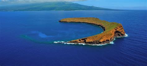 Molokini Crater | Snorkeling Trips & Info | Maui Hawaii | Molokini, Maui hawaii, Snorkeling