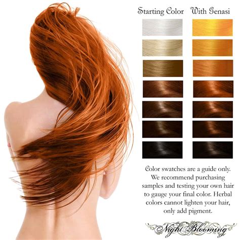 Top 160 + Does henna change your hair color - polarrunningexpeditions