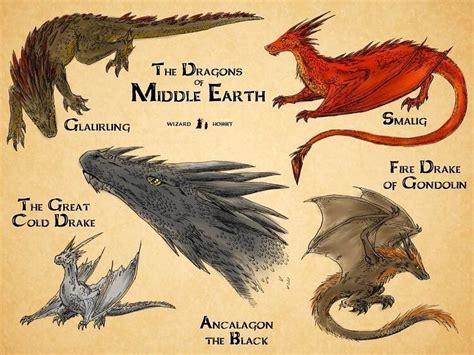 Middle Earth Universe™️ on Instagram: “The Dragons of Middle Earth ...