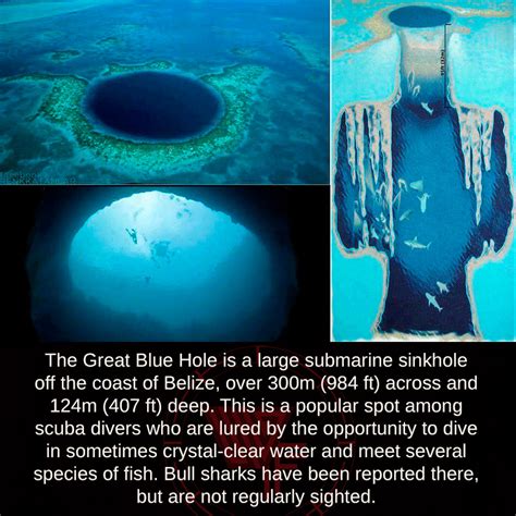 Mind Blowing Facts, The Great Blue Hole is a large submarine sinkhole...